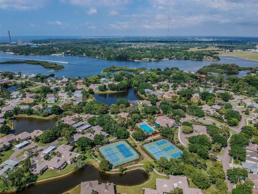 1011 S Pointe Alexis Drive Tarpon Springs FL 34689 - LAKE AVOCA TB8420782 image87