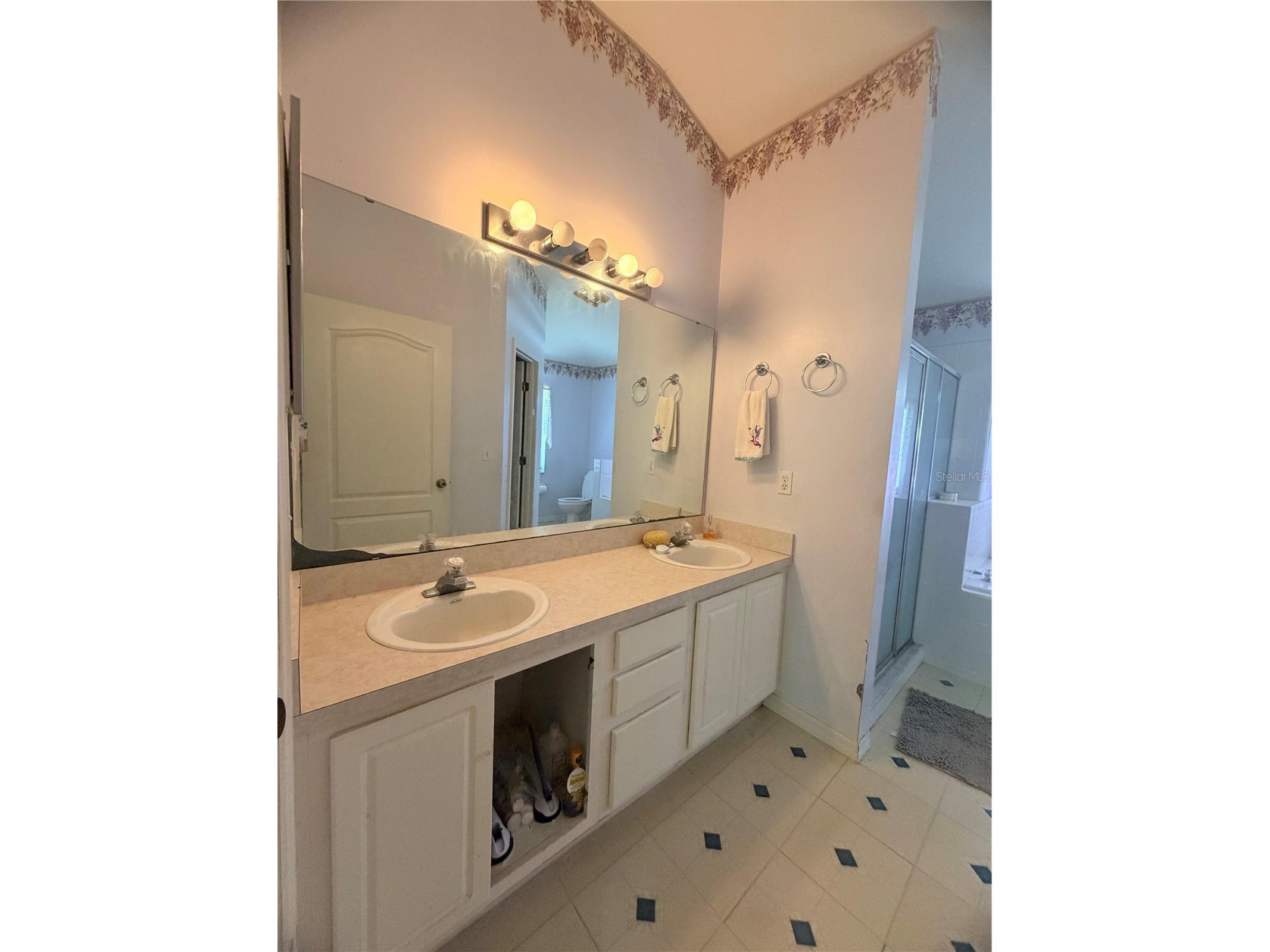 1011 Scenic View Circle Minneola FL 34715 V4950212 image14