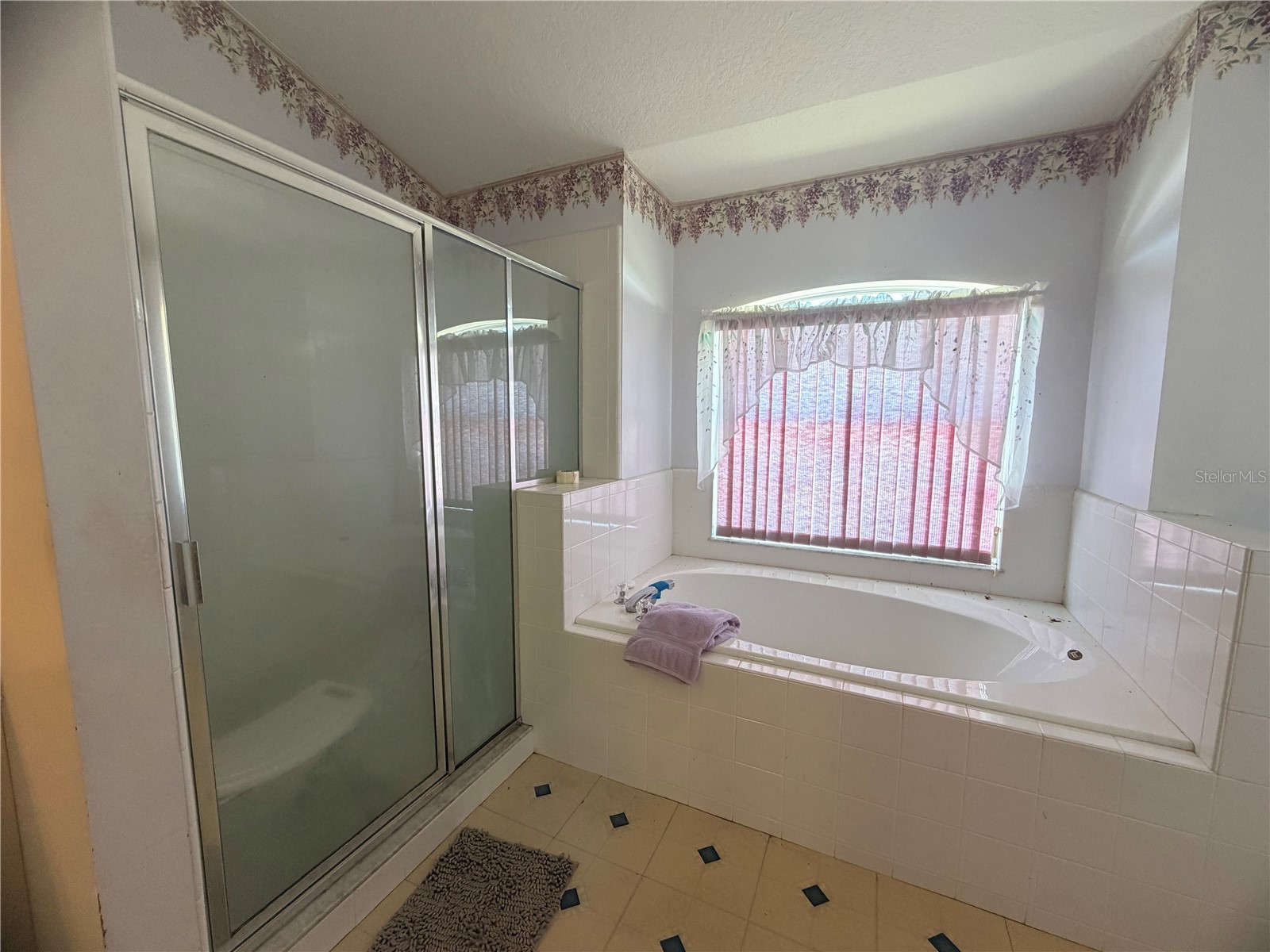 1011 Scenic View Circle Minneola FL 34715 V4950212 image15