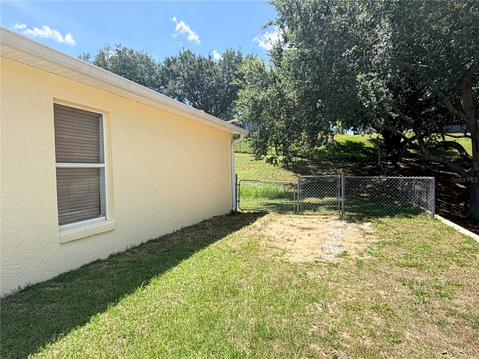 1011 Scenic View Circle Minneola FL 34715 V4950212 image4