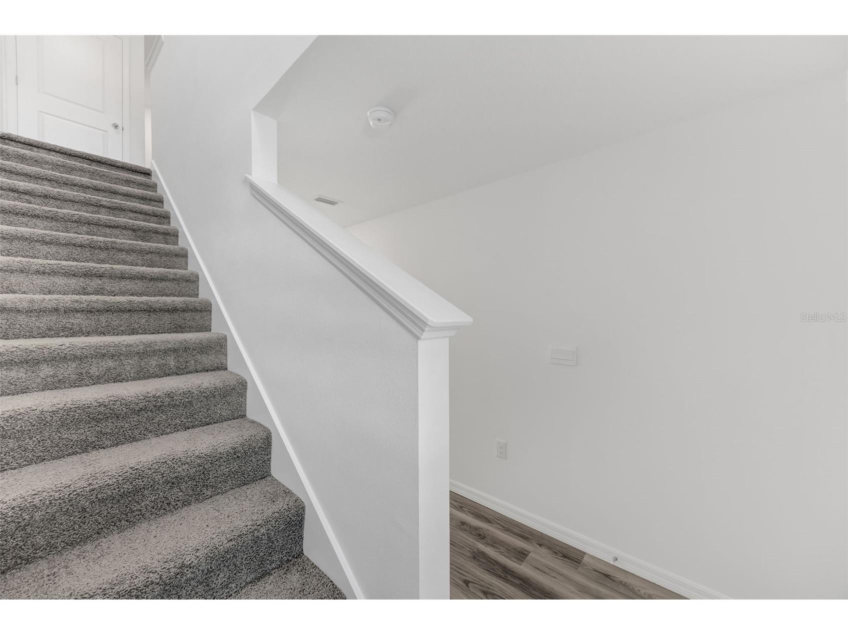 1011 Spotted Egret Loop Ruskin FL 33570 TB8468003 image12