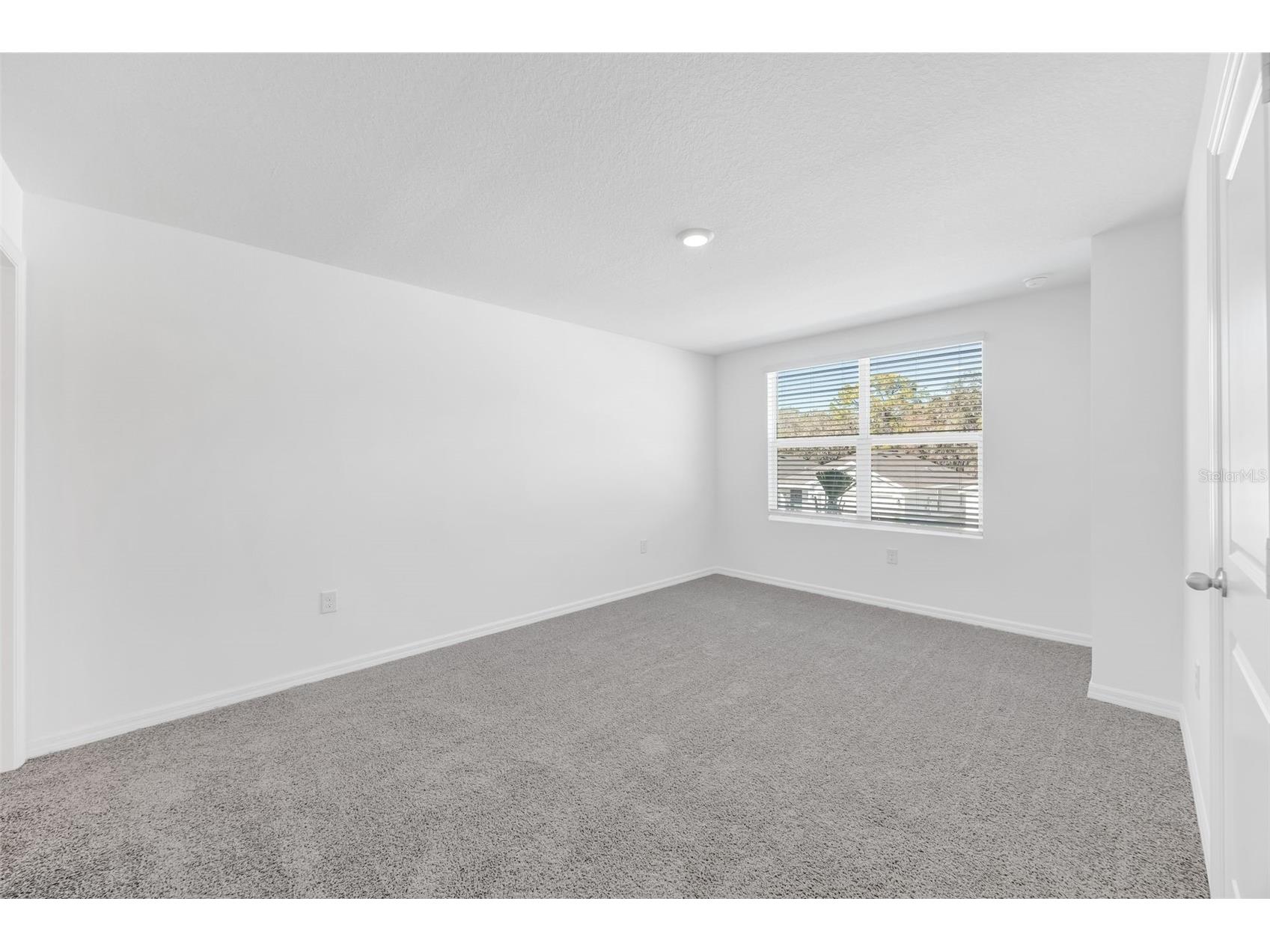 1011 Spotted Egret Loop Ruskin FL 33570 TB8468003 image15