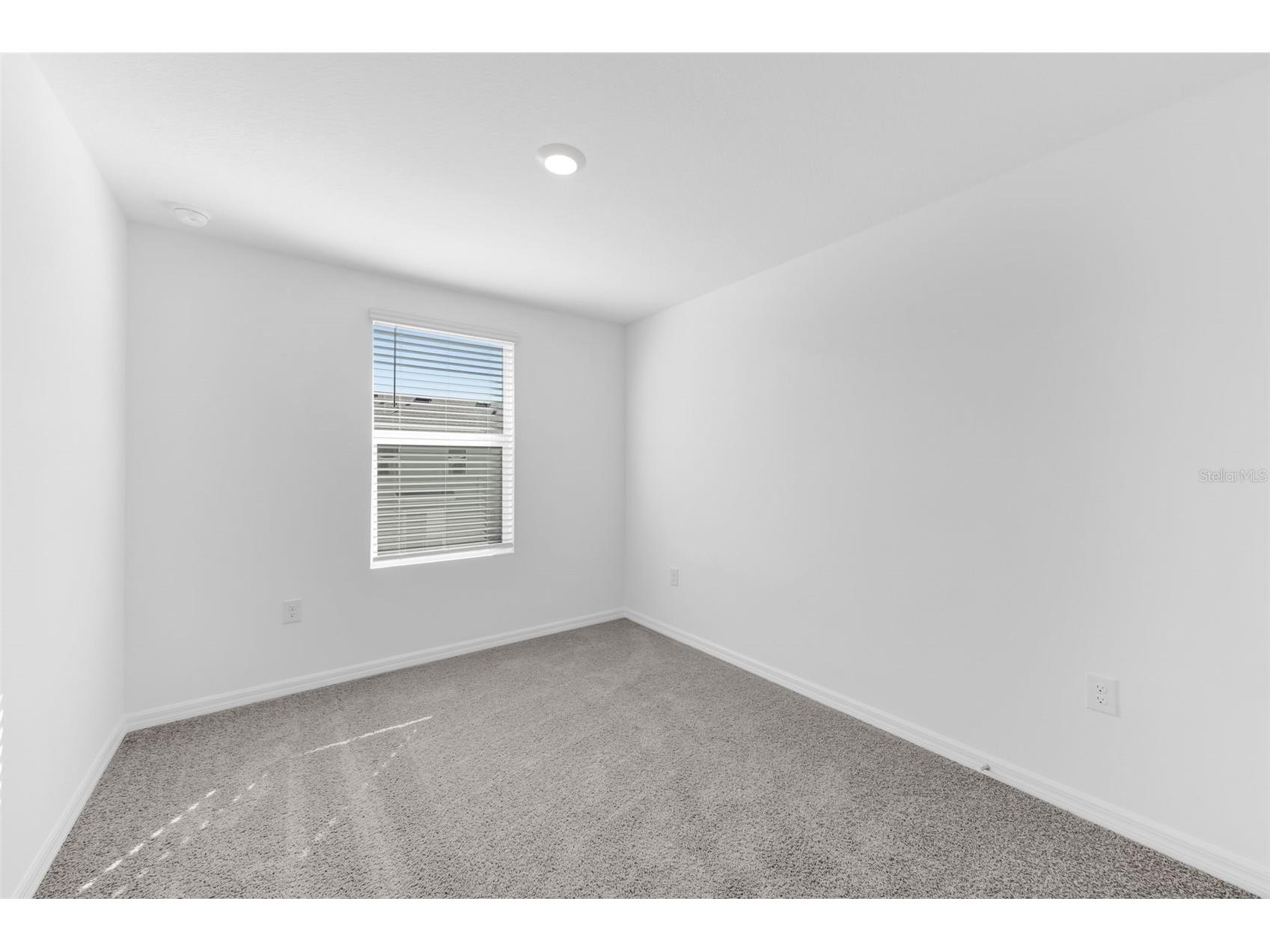 1011 Spotted Egret Loop Ruskin FL 33570 TB8468003 image23