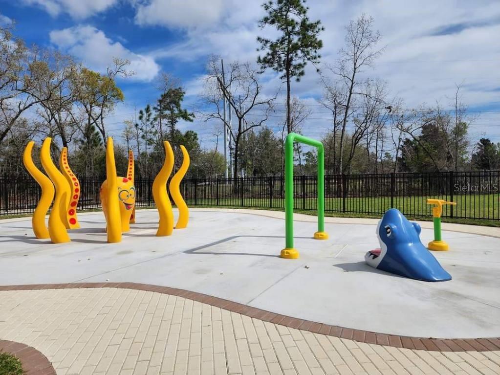 1011 Wetland Ridge Circle Middleburg FL 32068 GC531805 image72