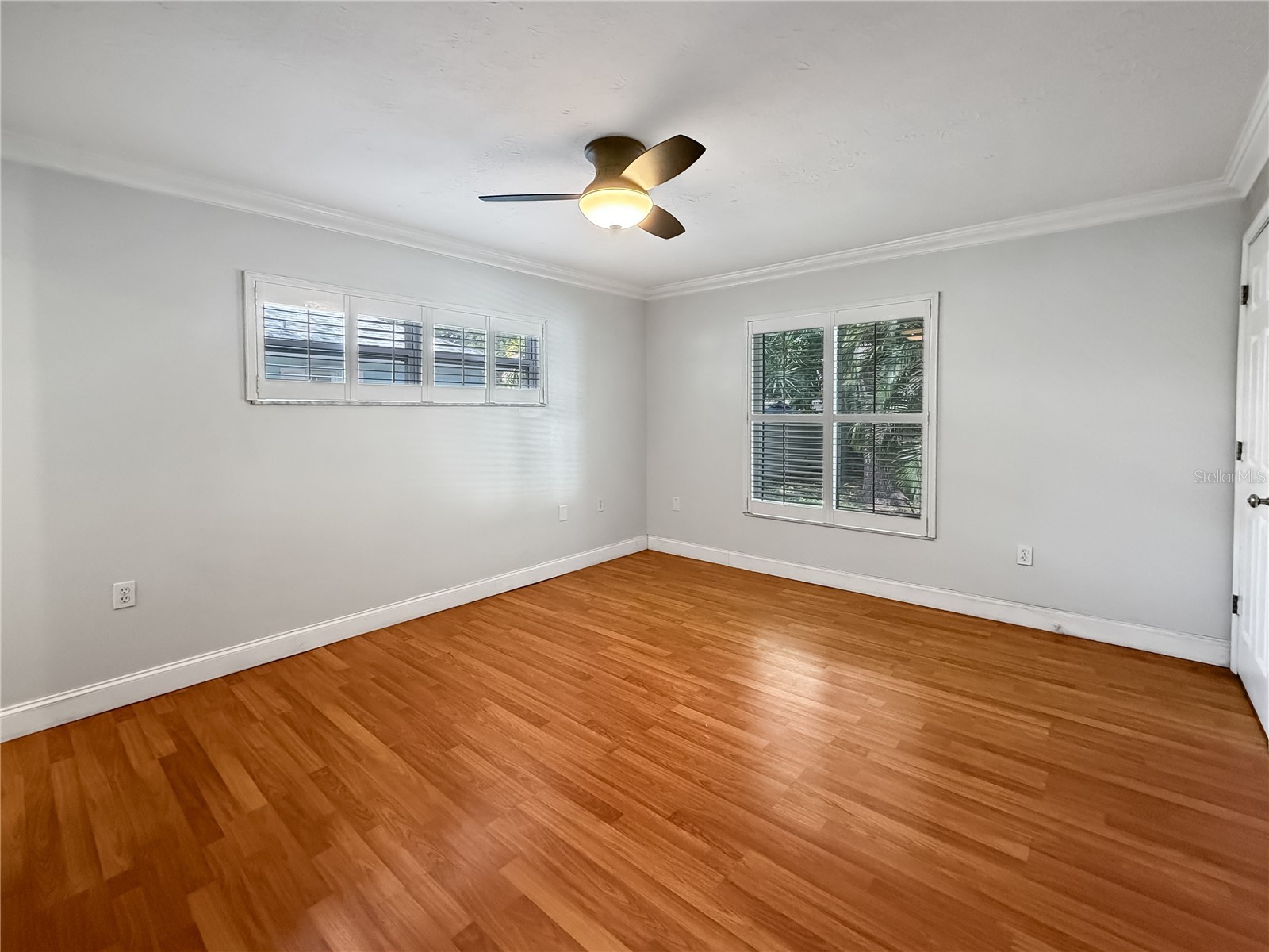 1011 Winding Oaks Drive Palm Harbor FL 34683 TB8525903 image37
