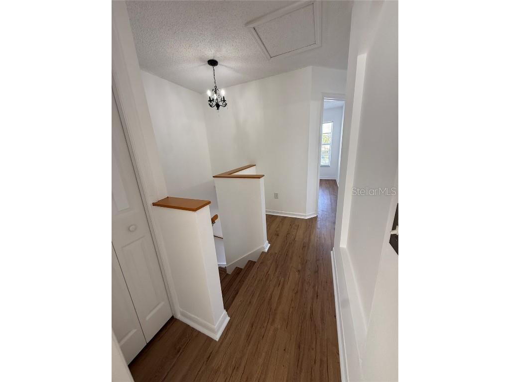 10110 Abington Place Tampa FL 33624 TB8455202 image15