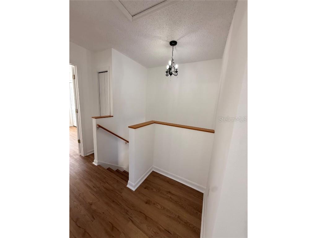 10110 Abington Place Tampa FL 33624 TB8455202 image16