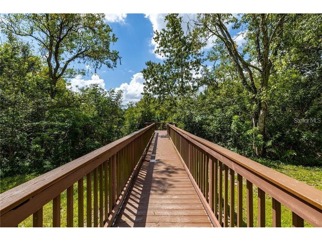 10110 Abington Place Tampa FL 33624 TB8455202 image33