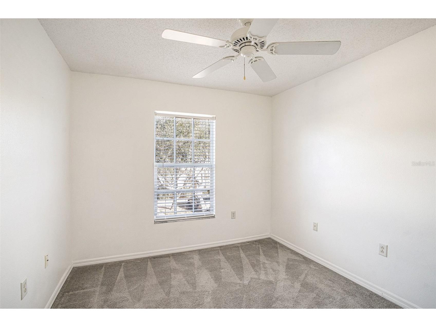 10110 Belleville Place Tampa FL 33624 TB8476555 image24