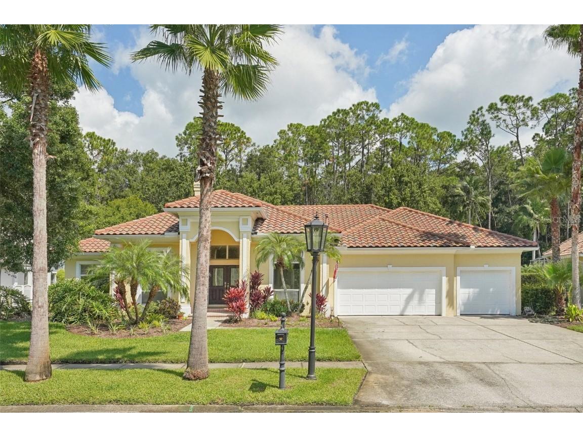 10110 Radcliffe Drive Tampa FL 33626 TB8306088 image1