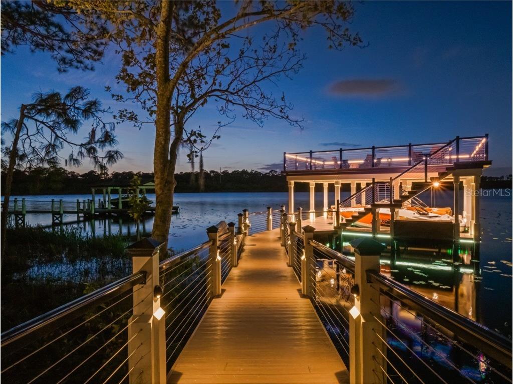 10110 Royal Island Court Orlando FL 32836 - South Lake O6359619 image1