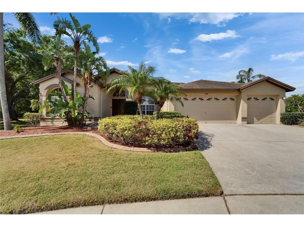 10110 Vista Pointe Drive Tampa FL 33635 TB8367243 image1