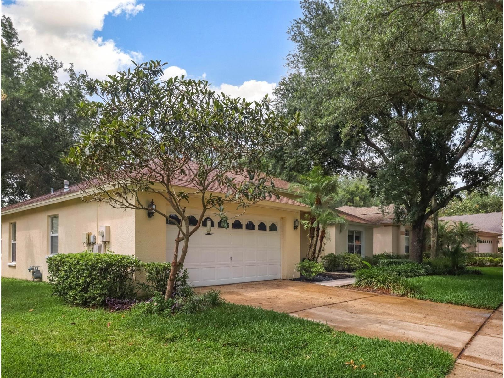 10110 Whisper Pointe Drive Tampa FL 33647 TB8516510 image3