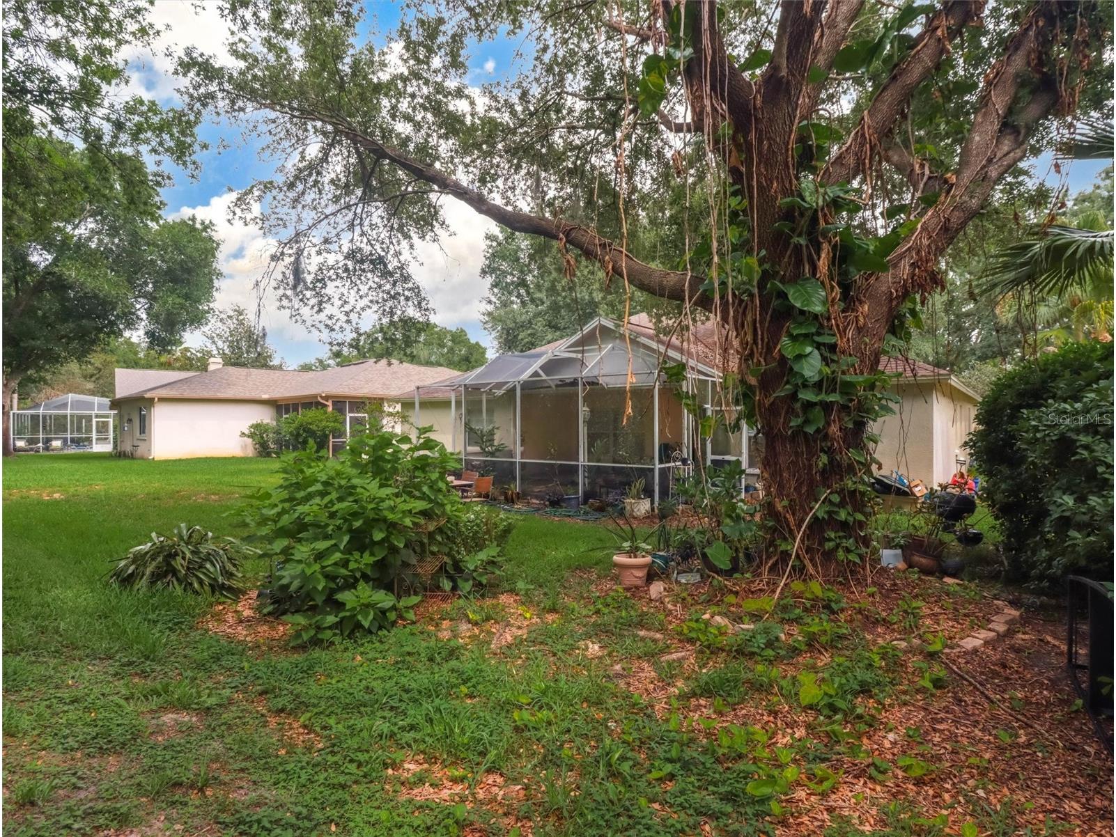 10110 Whisper Pointe Drive Tampa FL 33647 TB8516510 image39