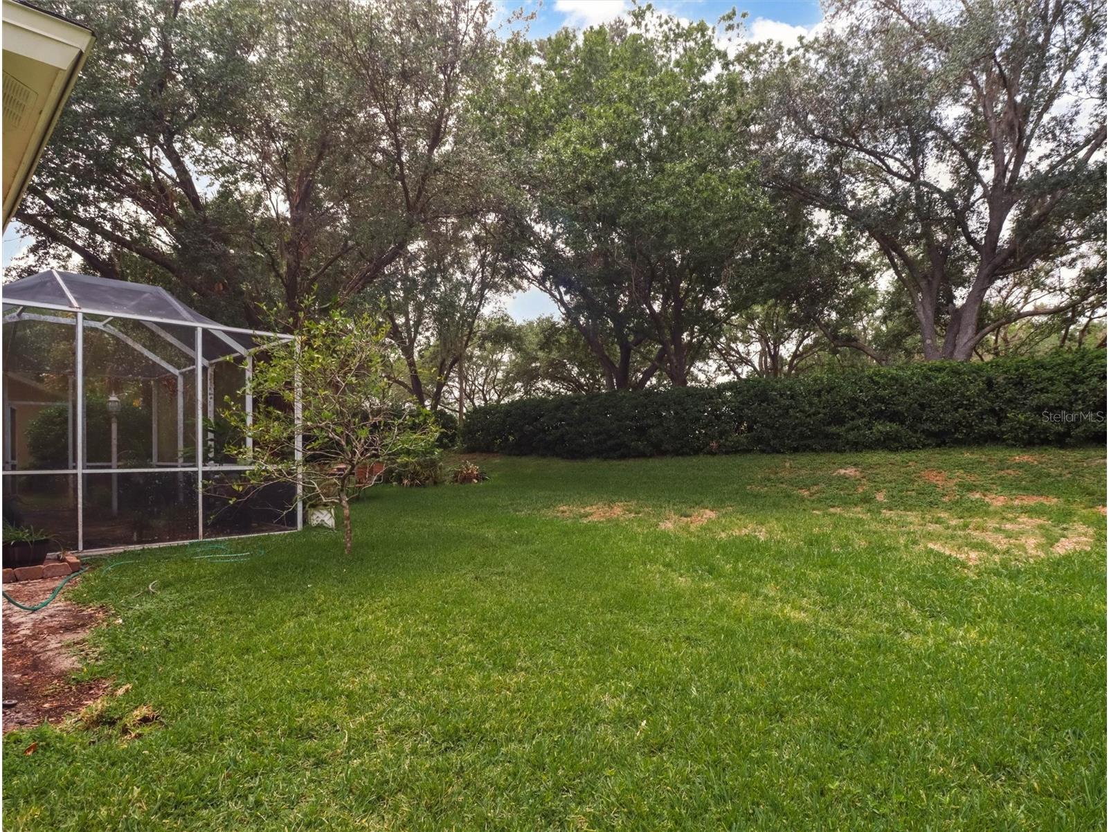 10110 Whisper Pointe Drive Tampa FL 33647 TB8516510 image41