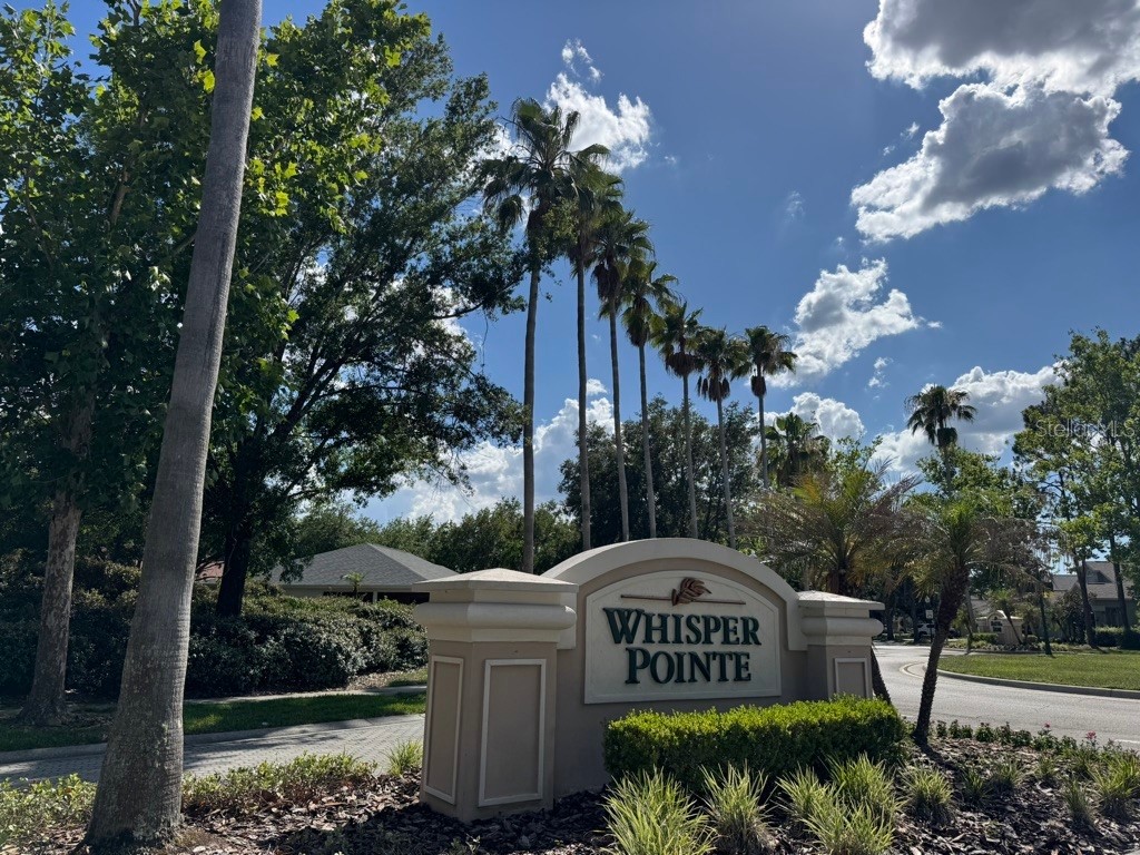 10110 Whisper Pointe Drive Tampa FL 33647 TB8516510 image42
