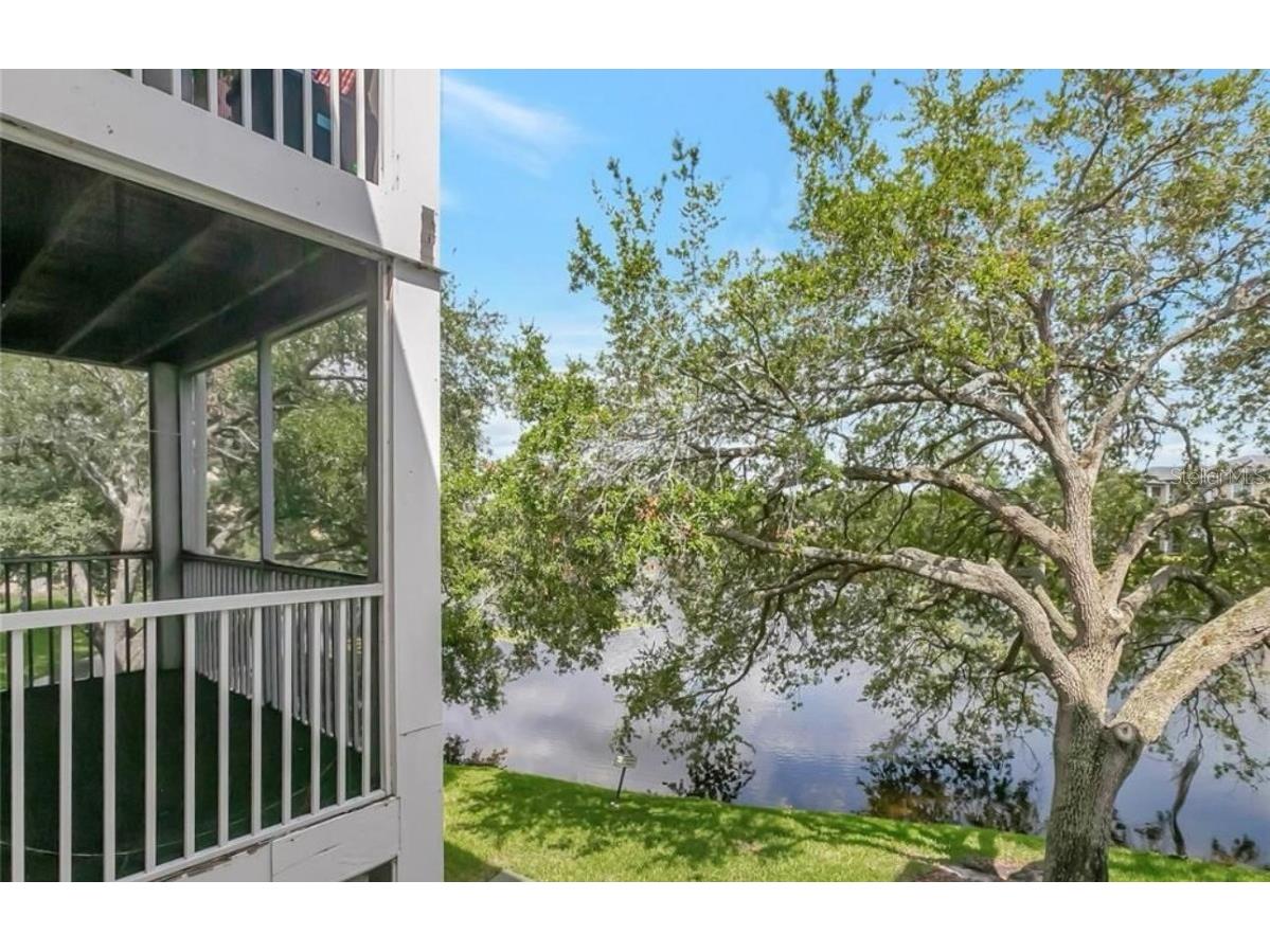 10110 Winsford Oak Boulevard #612 Tampa FL 33624 TB8442299 image17