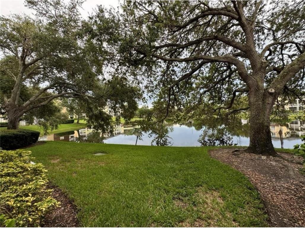 10110 Winsford Oak Boulevard #612 Tampa FL 33624 TB8442299 image18