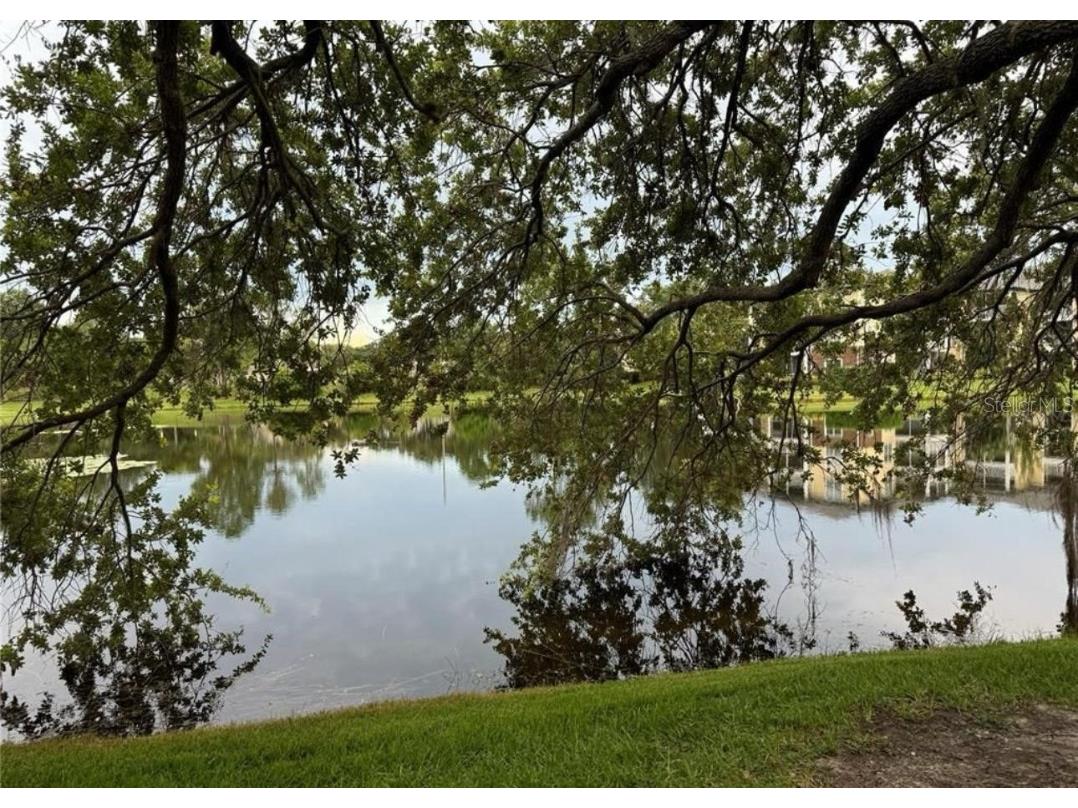 10110 Winsford Oak Boulevard #612 Tampa FL 33624 TB8442299 image23