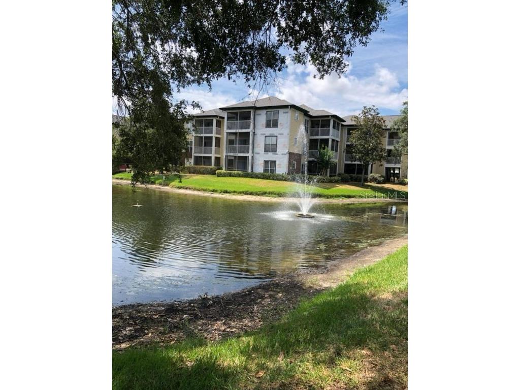 10110 Winsford Oak Boulevard #612 Tampa FL 33624 TB8446842 image32