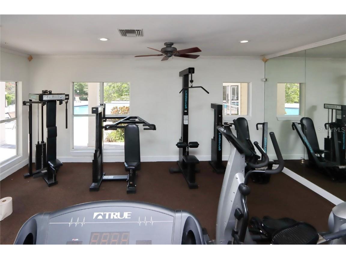 10110 Winsford Oak Boulevard #618 Tampa FL 33624 TB8446924 image17