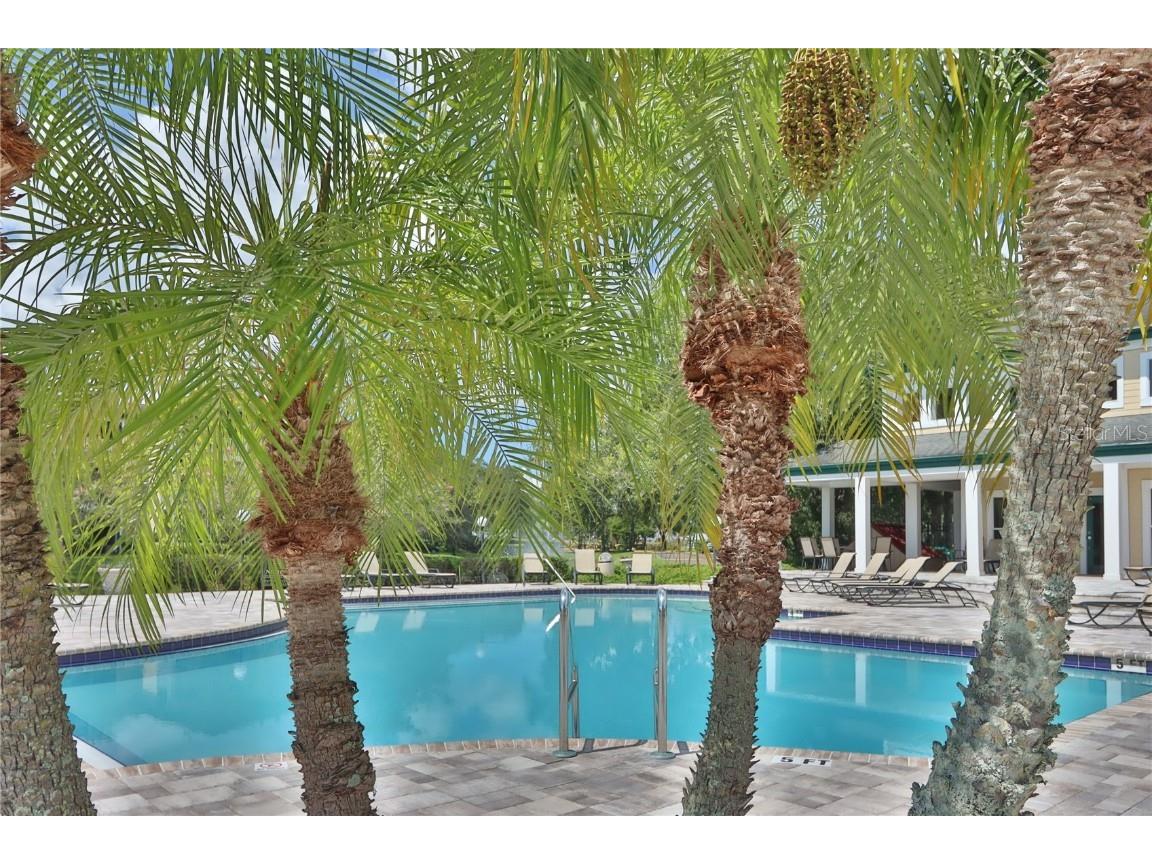 10110 Winsford Oak Boulevard #618 Tampa FL 33624 TB8446924 image21