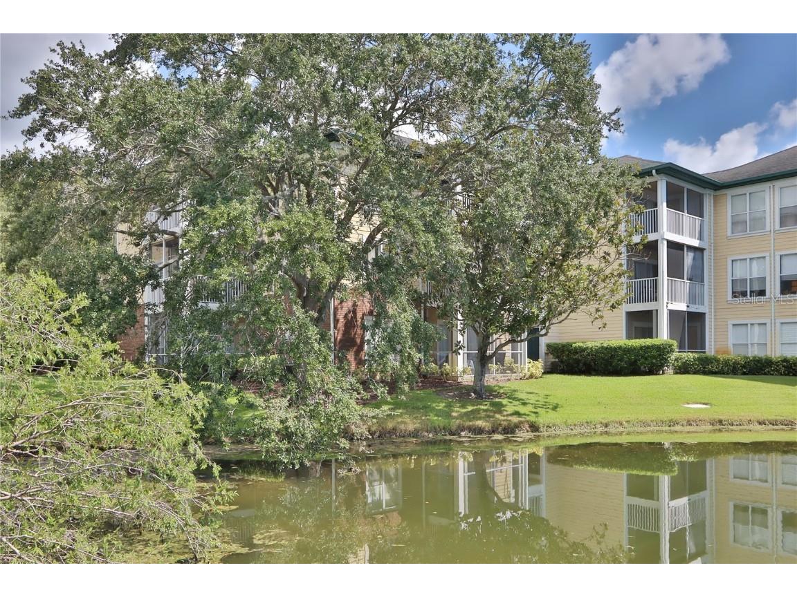 10110 Winsford Oak Boulevard #618 Tampa FL 33624 TB8446924 image22