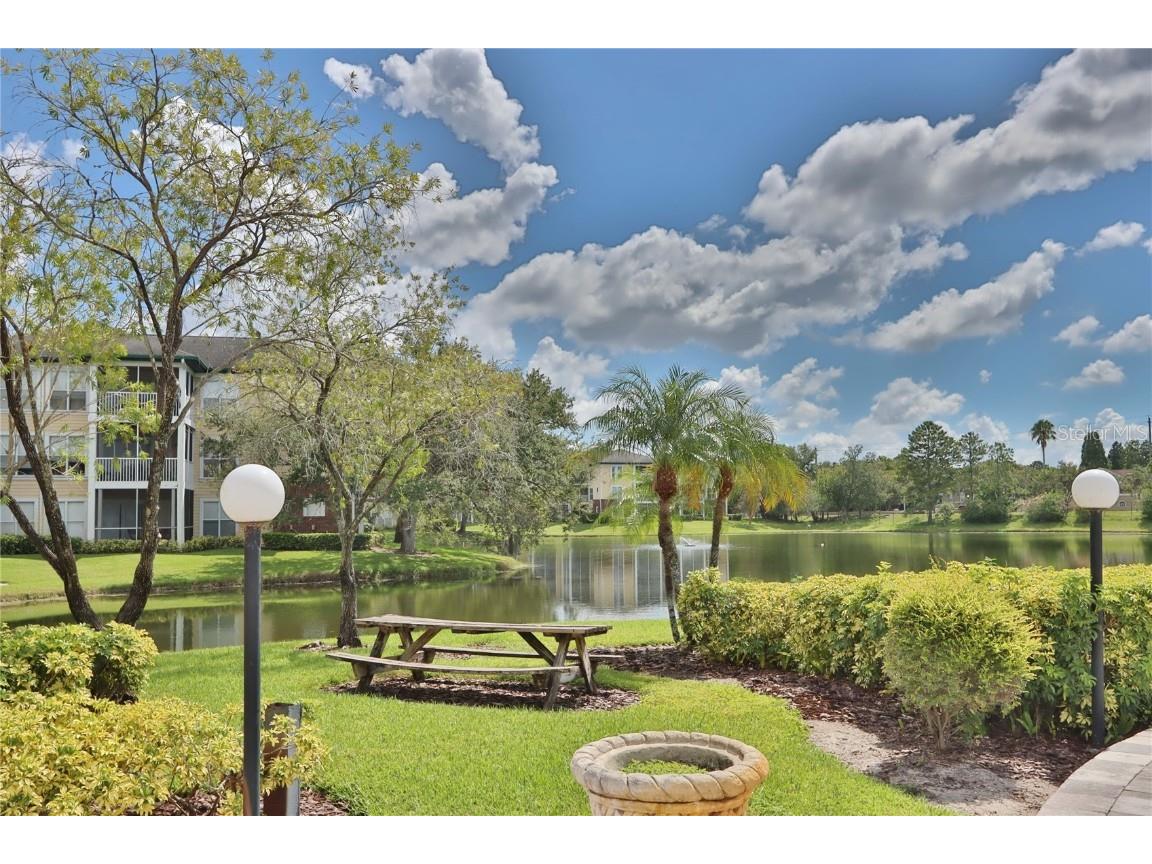 10110 Winsford Oak Boulevard #618 Tampa FL 33624 TB8446924 image23