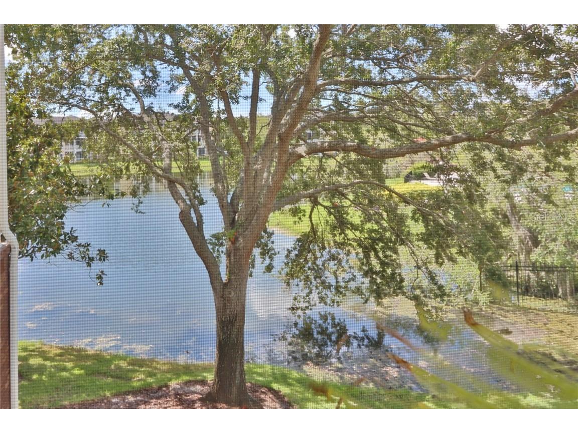 10110 Winsford Oak Boulevard #618 Tampa FL 33624 TB8446924 image24