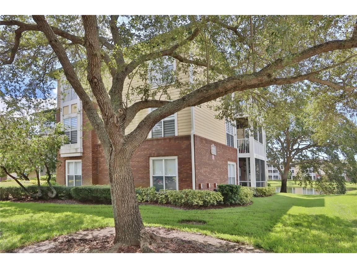 10110 Winsford Oak Boulevard #618 Tampa FL 33624 TB8446924 image27