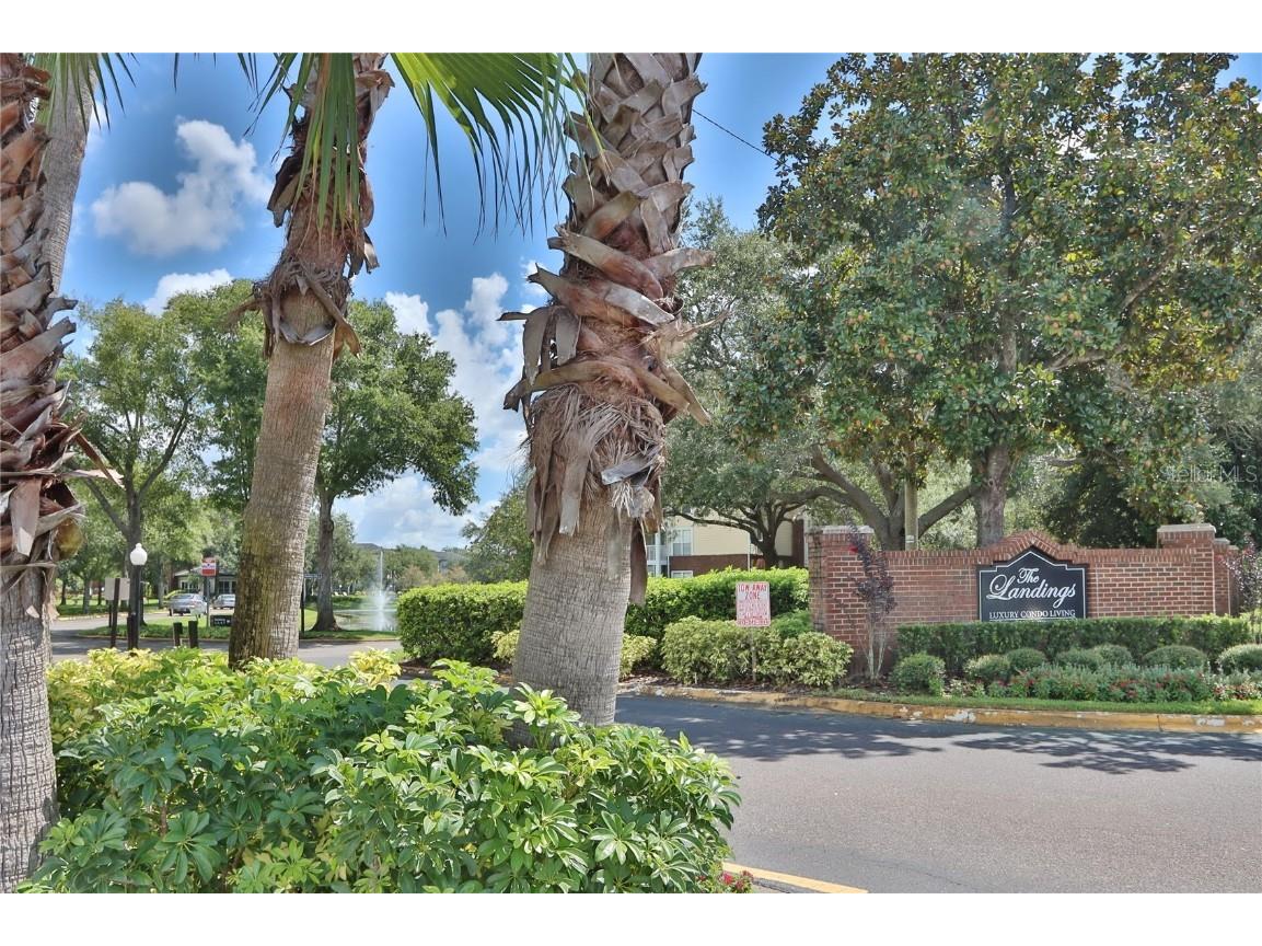 10110 Winsford Oak Boulevard #618 Tampa FL 33624 TB8446924 image29