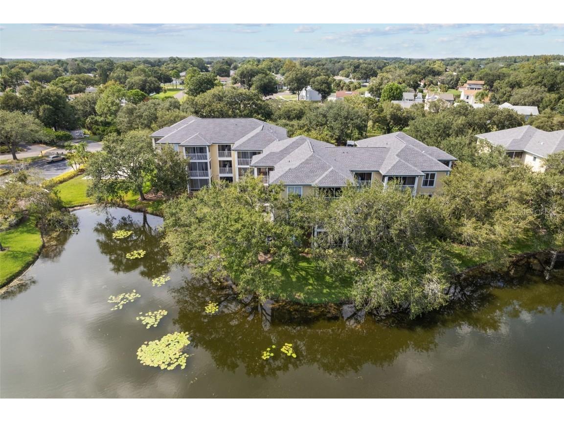 10110 Winsford Oak Boulevard #621 Tampa FL 33624 U8214320 image1