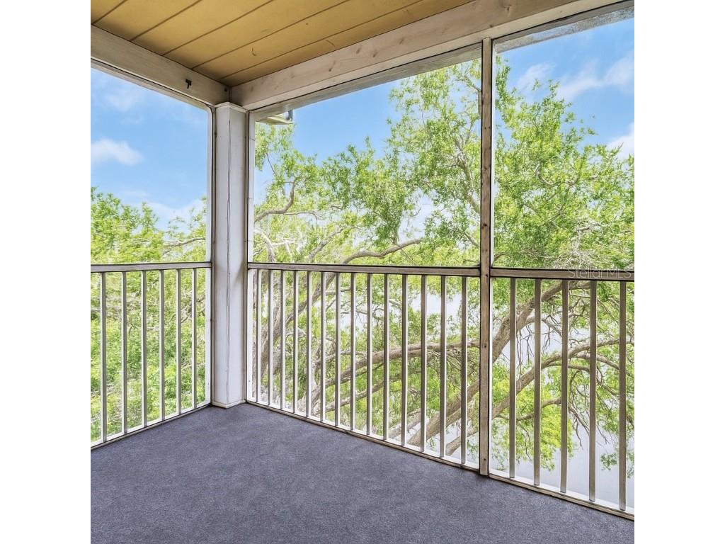 10110 Winsford Oak Boulevard #621 Tampa FL 33624 TB8395056 image5