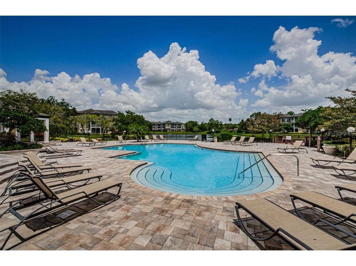 10110 Winsford Oak Boulevard #623 Tampa FL 33624 TB8460826 image20