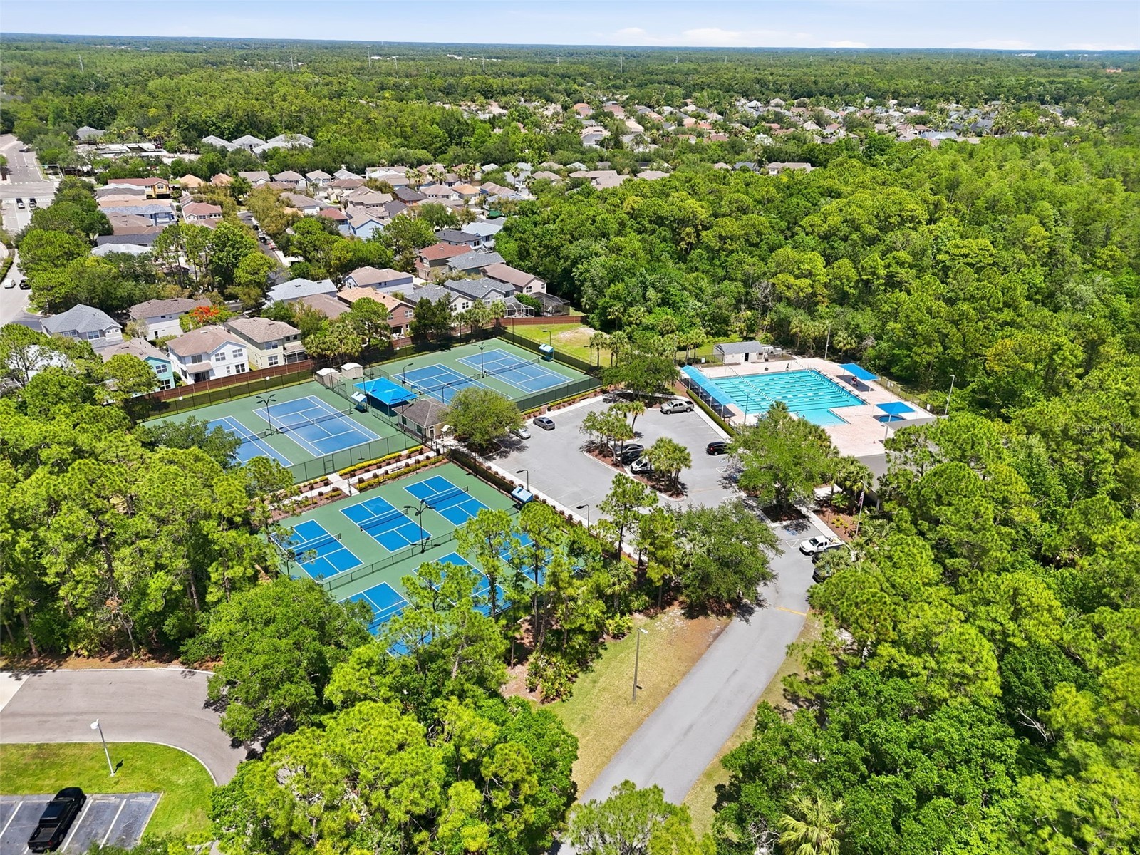 10111 Hayfield Way Tampa FL 33626 TB8506064 image66