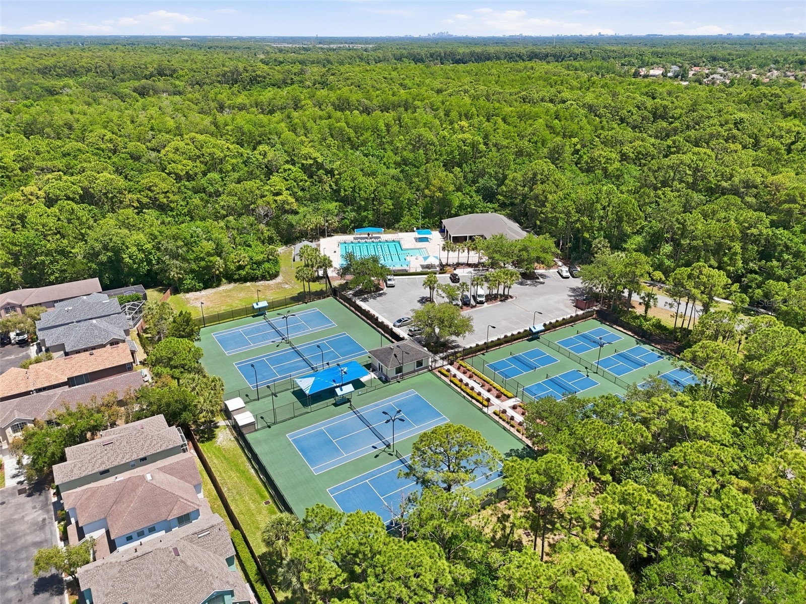 10111 Hayfield Way Tampa FL 33626 TB8506064 image67