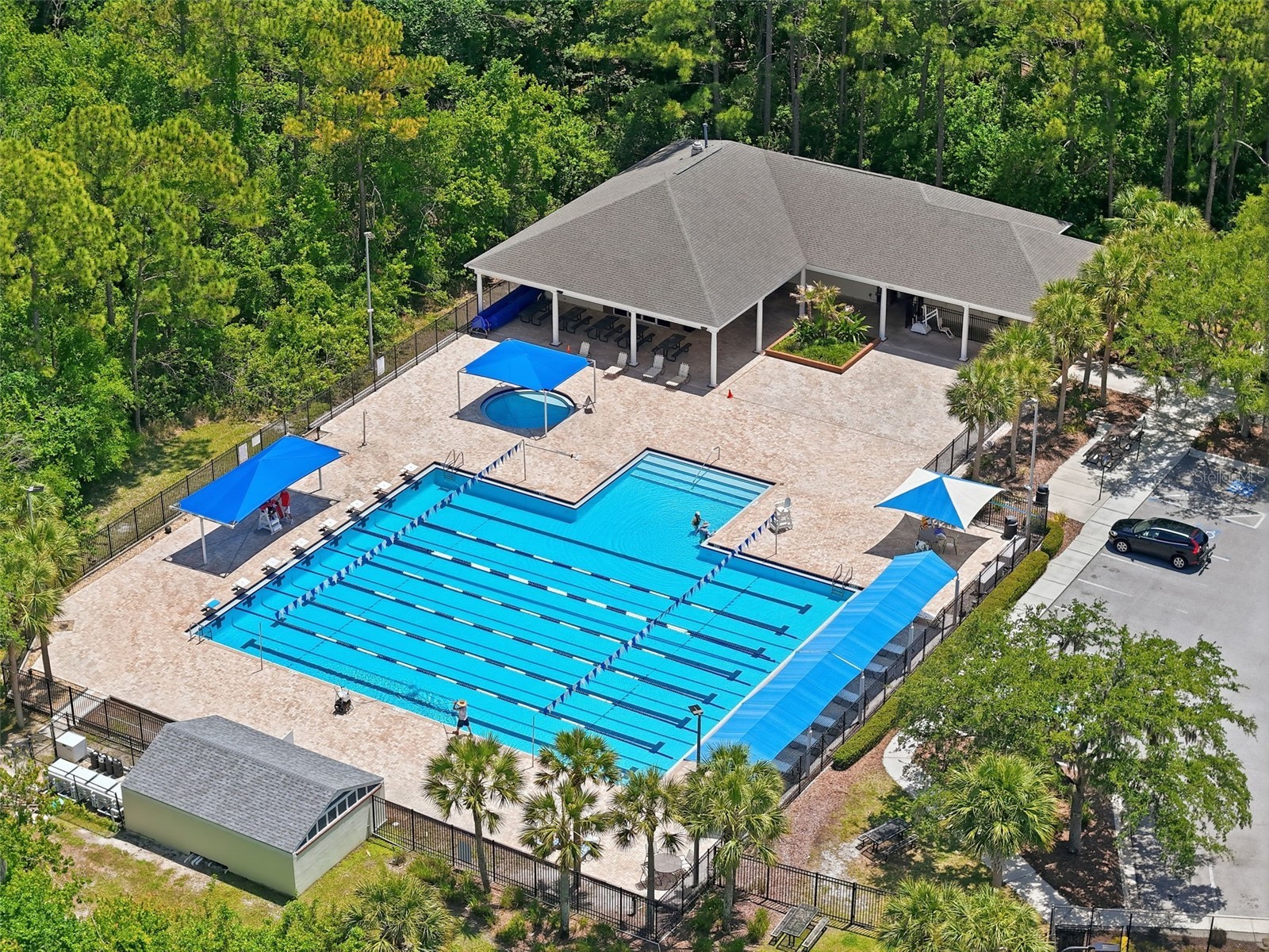 10111 Hayfield Way Tampa FL 33626 TB8506064 image68