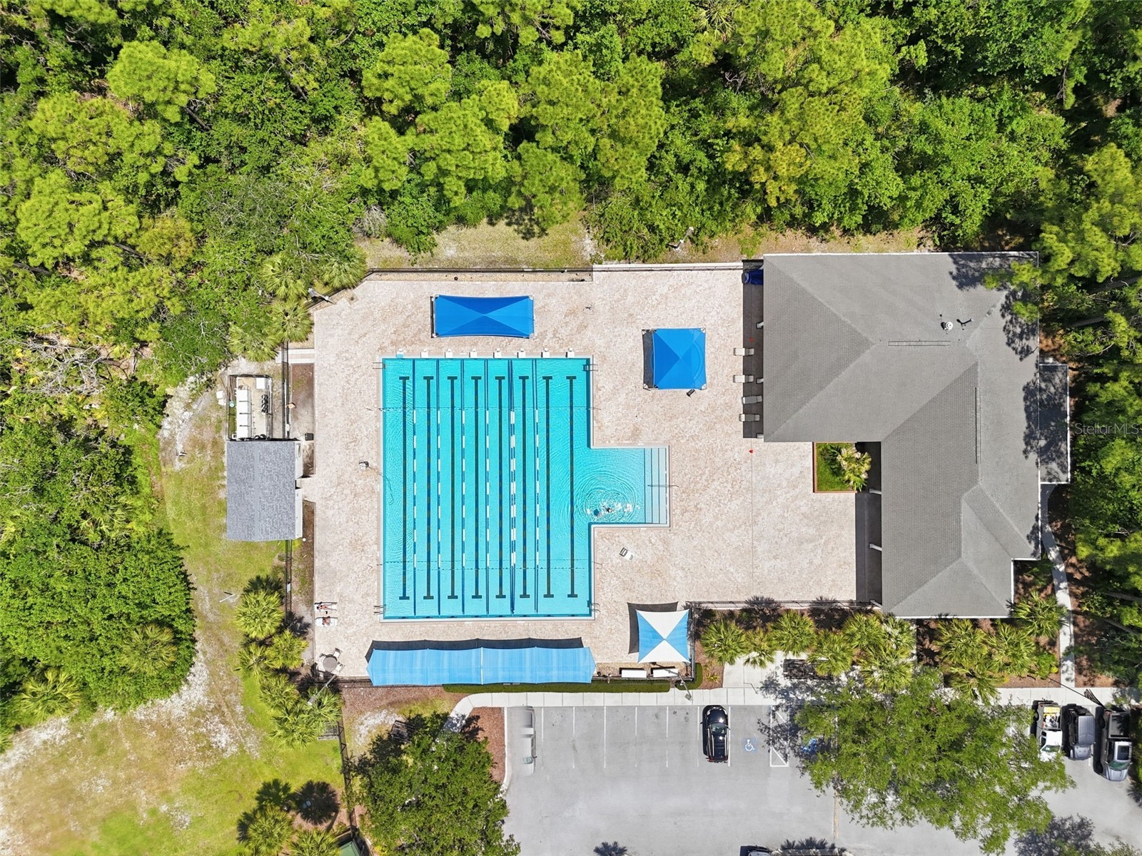 10111 Hayfield Way Tampa FL 33626 TB8506064 image69