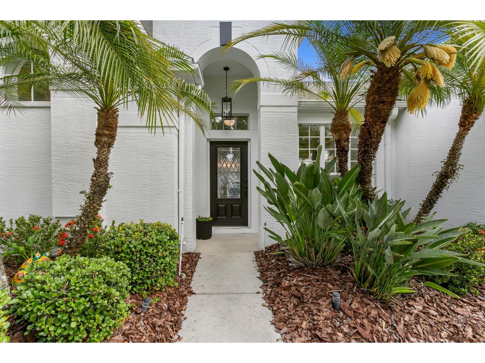 10111 Kingsbridge Avenue Tampa FL 33626 TB8504544 image5