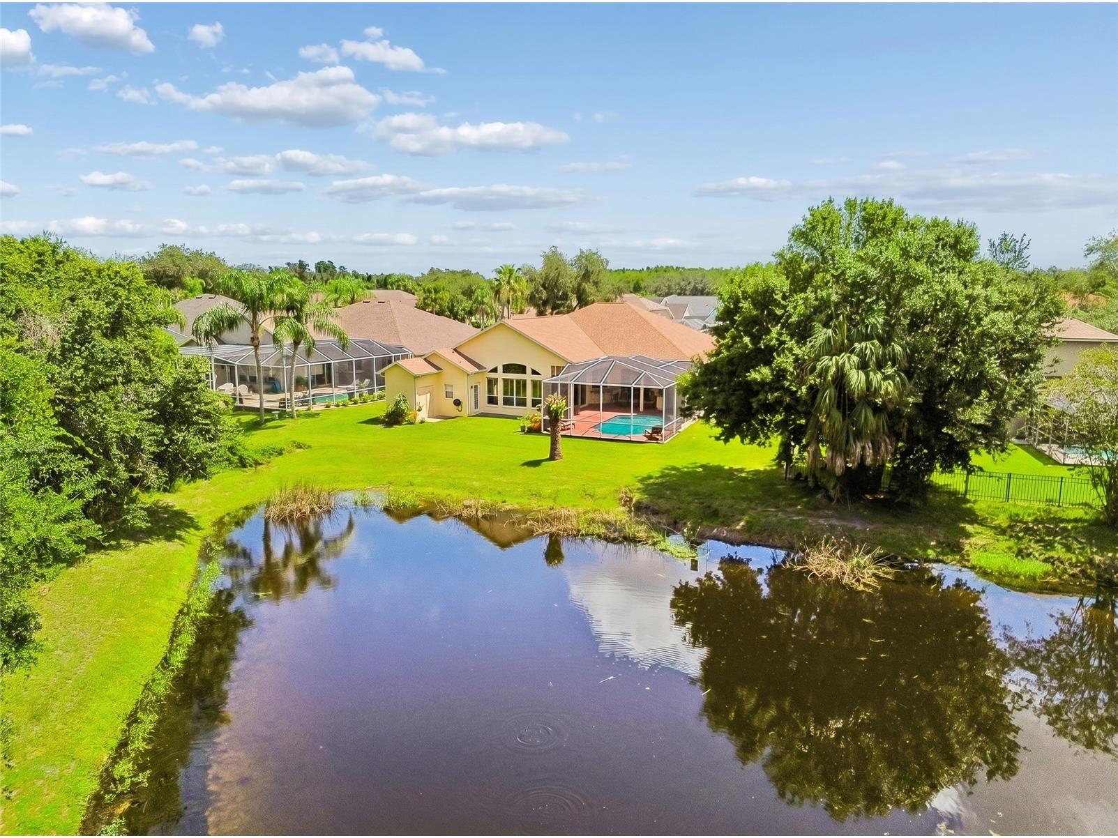 10111 Kingshyre Way Tampa FL 33647 TB8526318 image48