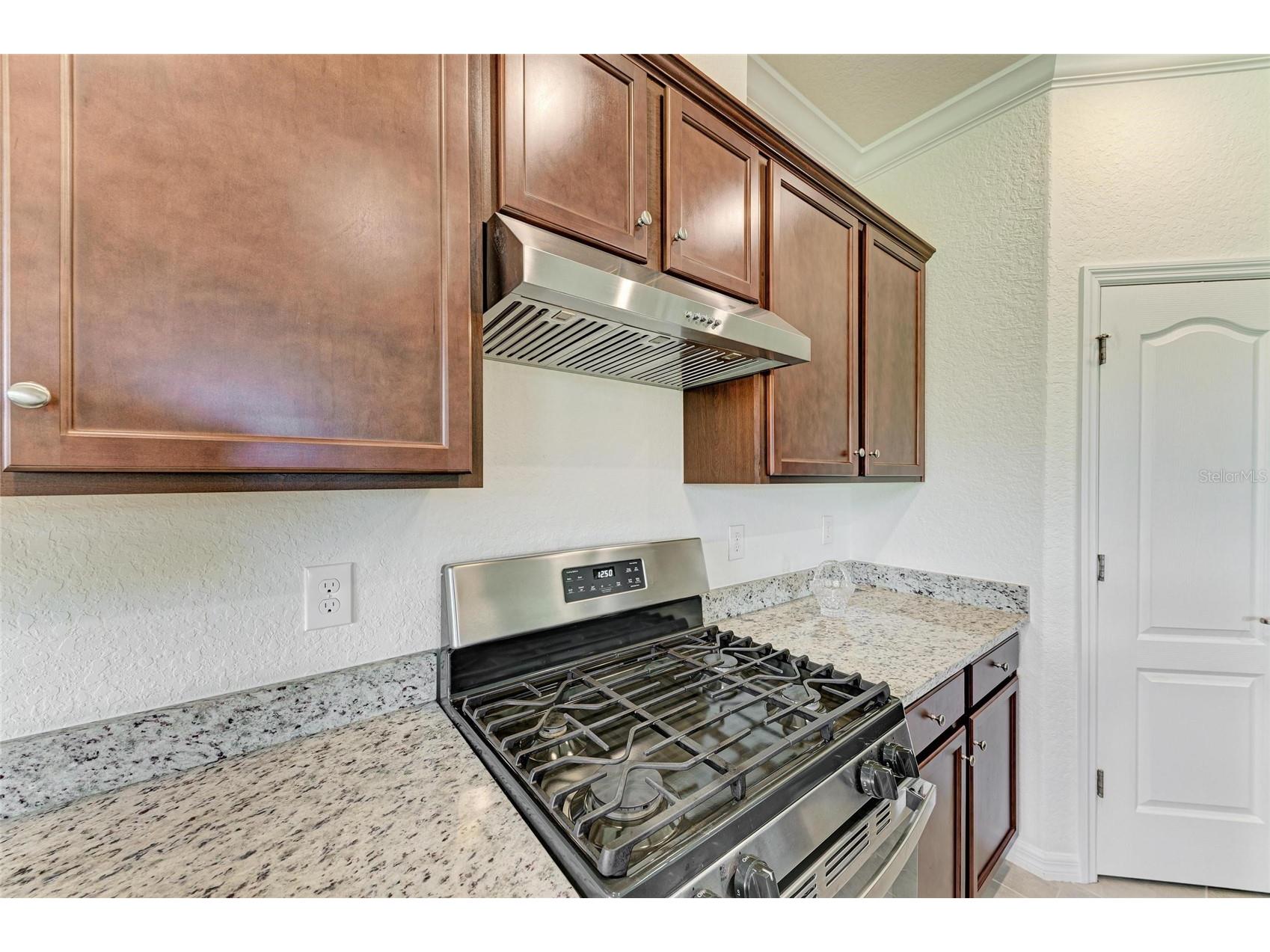 10111 Malachite Drive Bradenton FL 34211 A4695669 image20