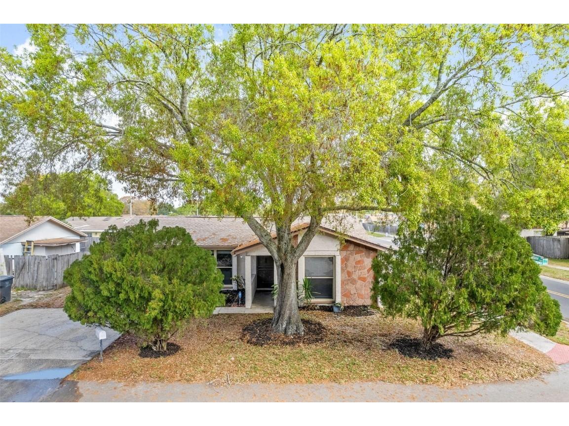 10111 Timber Oaks Court Tampa FL 33615 T3509335 image1