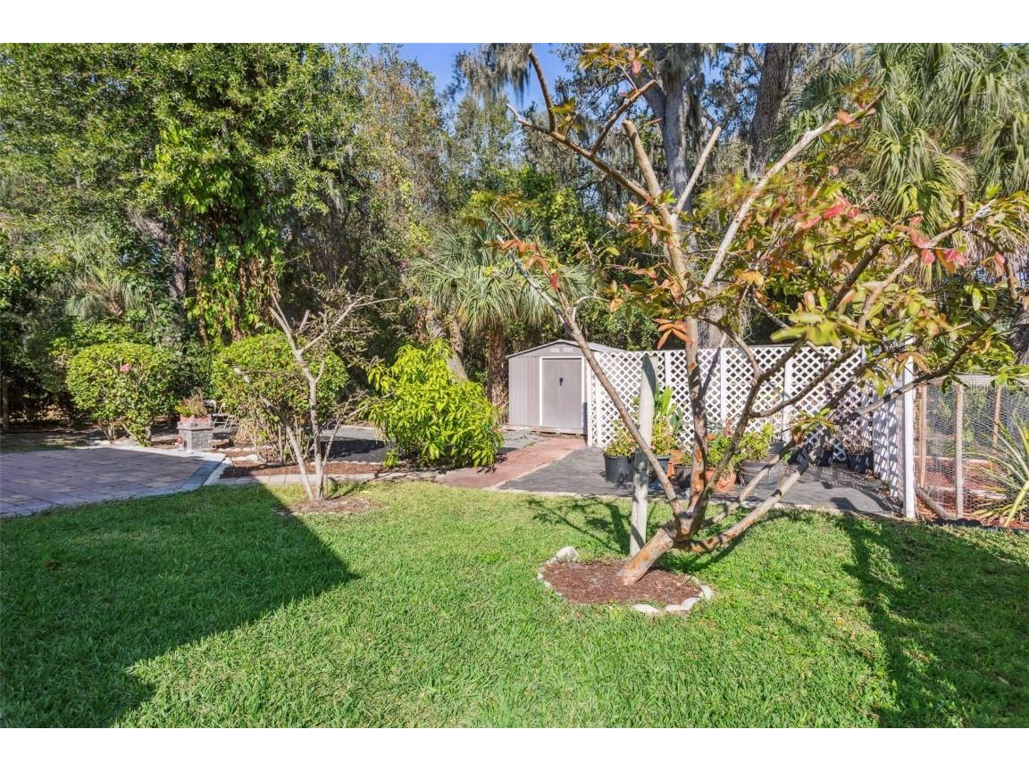 10112 Caraway Spice Avenue Riverview FL 33578 TB8452965 image24