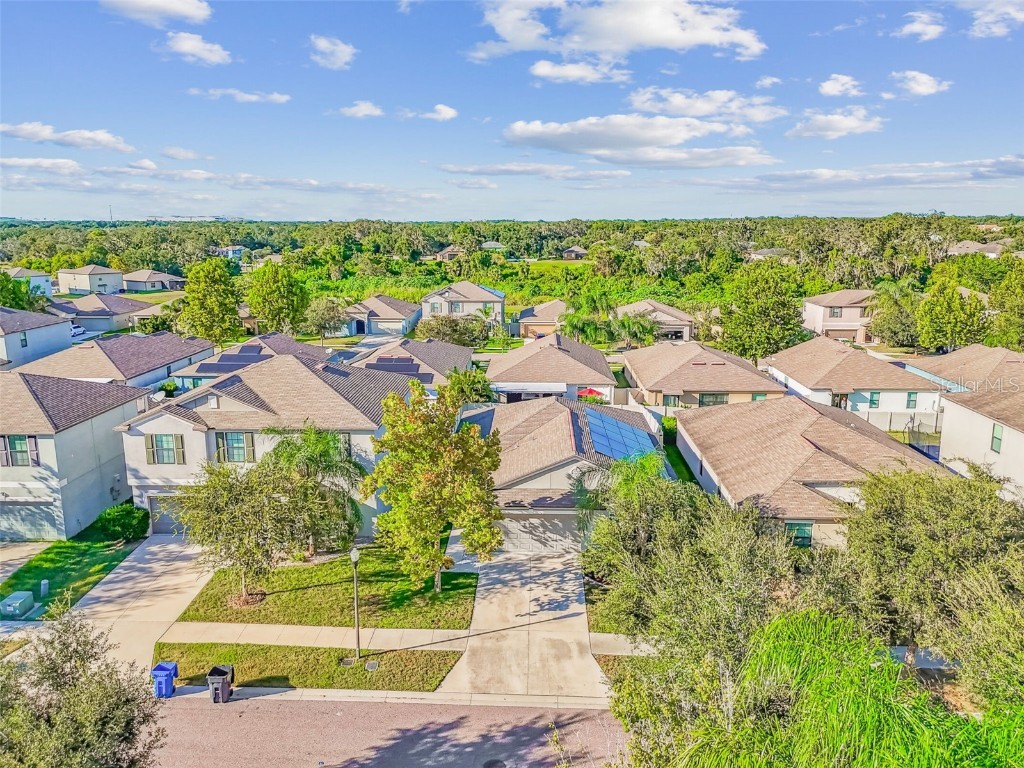 10112 Rosemary Leaf Lane Riverview FL 33578 TB8437471 image38