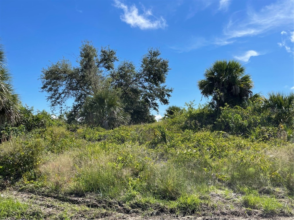 10112 Winnipeg Street Port Charlotte FL 33981 - FRUITPORT WATERWAY D6132666 image1