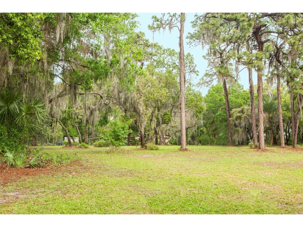 10113 Orange Grove Drive Tampa FL 33618 - Boot Lake T3370310 image1