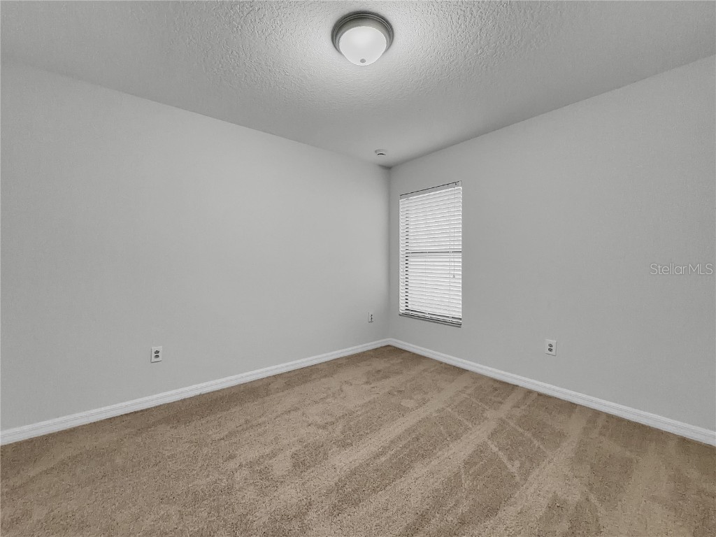 10113 Rosemary Leaf Lane Riverview FL 33578 O6370954 image12