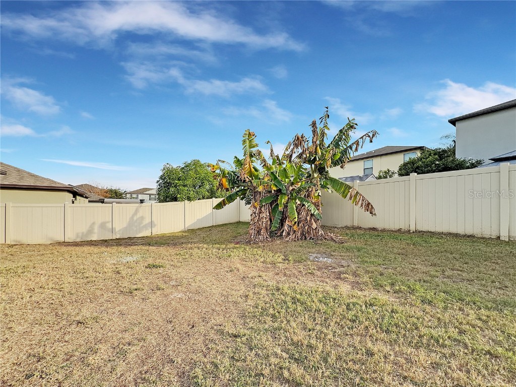 10113 Rosemary Leaf Lane Riverview FL 33578 O6370954 image21