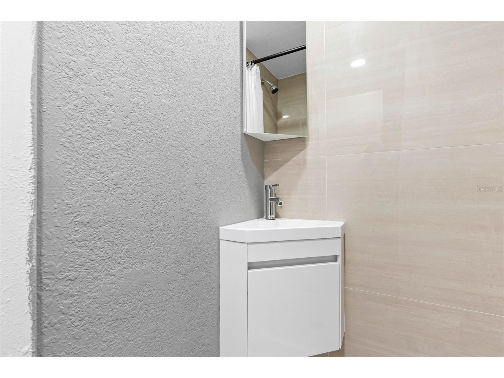 10113 Royal Acres Court Tampa FL 33615 TB8484585 image22