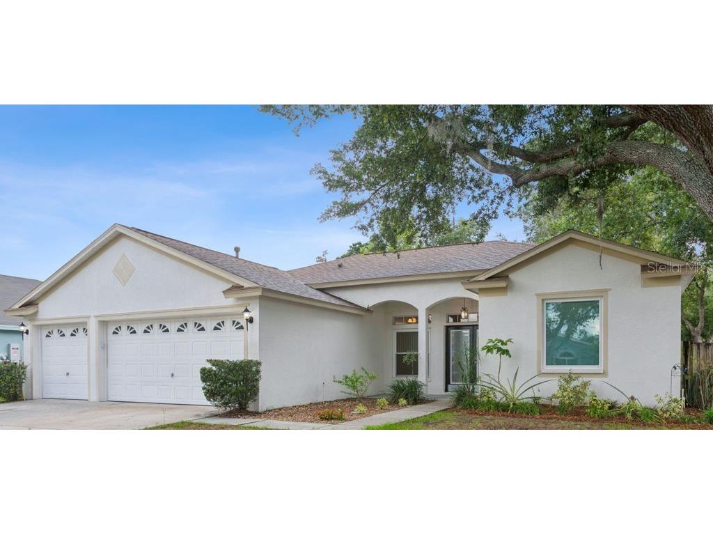 10113 Tantara Court Riverview FL 33578 TB8509744 image1